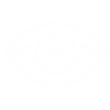 Retina 3